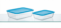 Set of Two Glass Food Storage Containers